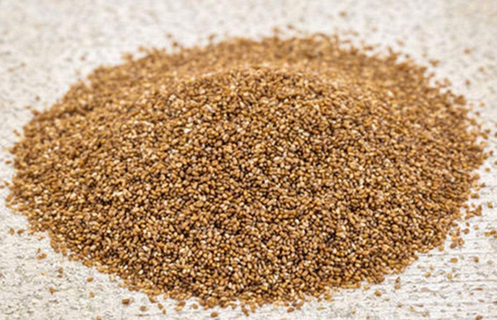Teff, el superalimento que seduce a Europa y EE.UU. y es considerado la “nueva quinoa”